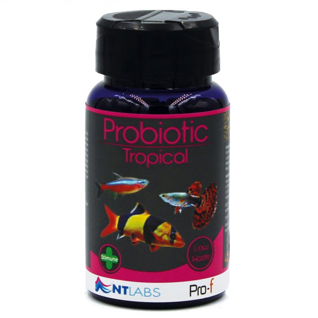NT Labs Pro-F Probiotic Tropical Fish Food