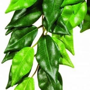 reptile exo terra Ficus Silk Plant Small