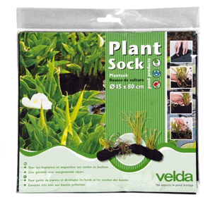 Plant Sock 10 x 80cm
