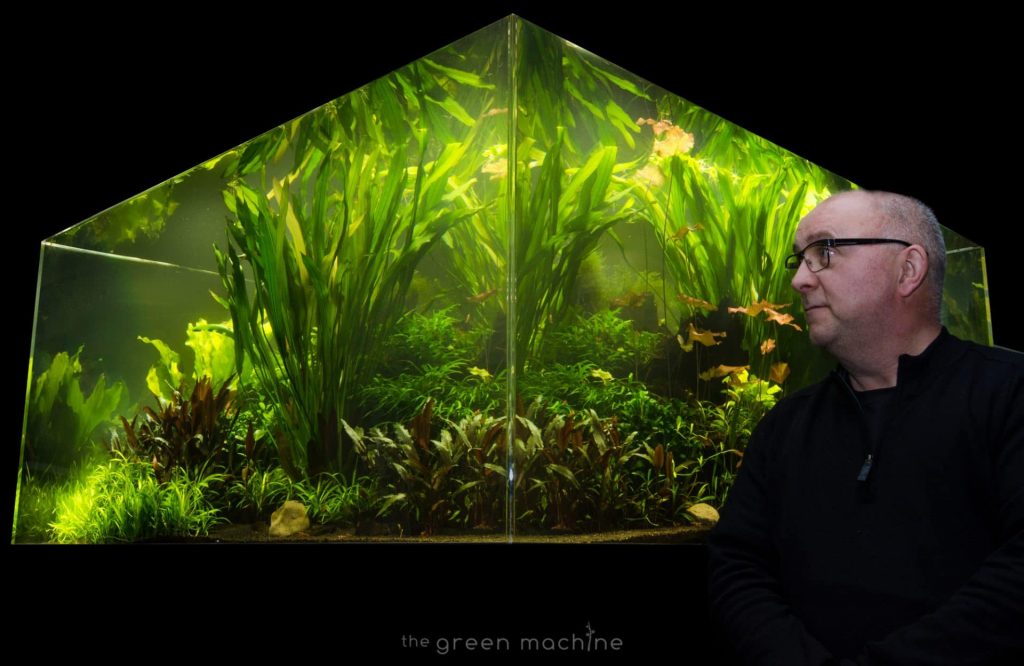 a jungle aquascape designed by James Findley