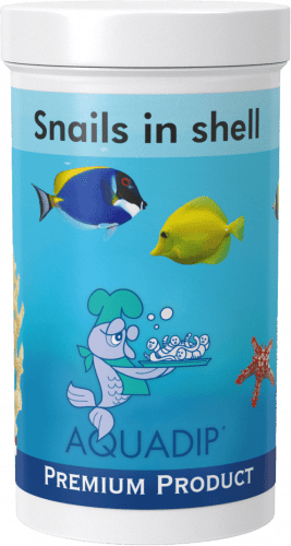 aquadip snails fd 100ml snails in shell