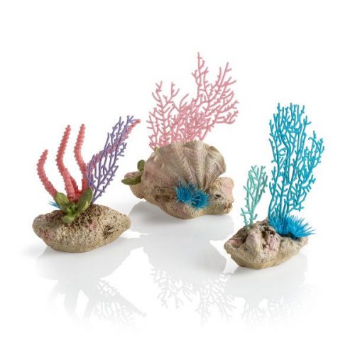 biorb coral fans and shells set of ornament