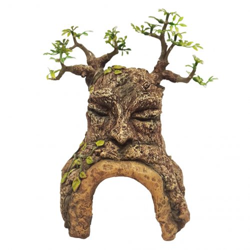 tree cave with face ornament