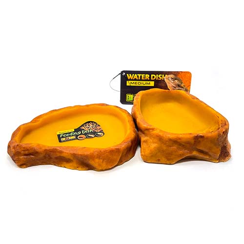 reptile food and water combo feeding dish and water bowl medium