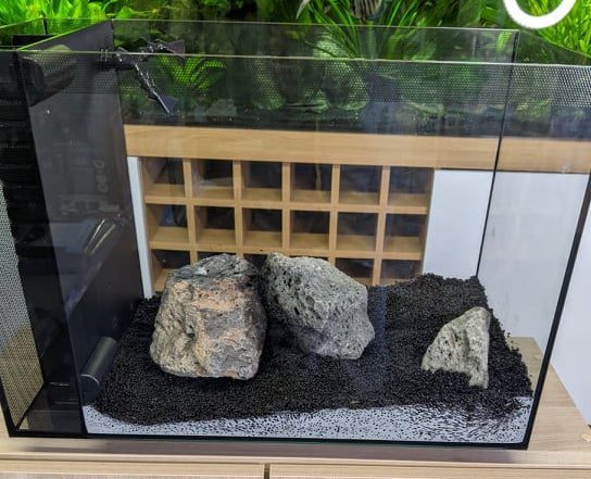 Fluval spec starter aquarium with galapagos rocks washed and placed inside.