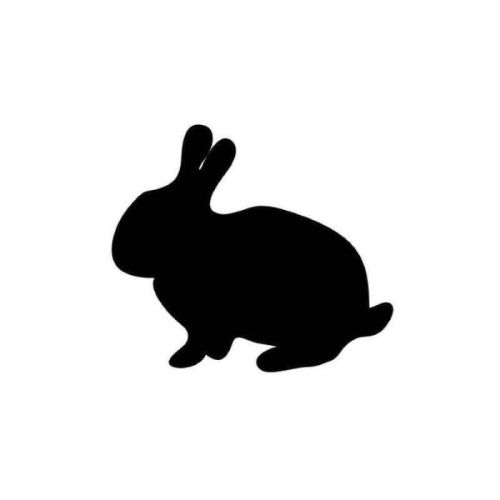 Frozen Rabbits - Small to Jumbo
