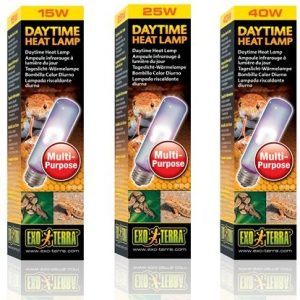 Daytime Heat Lamp