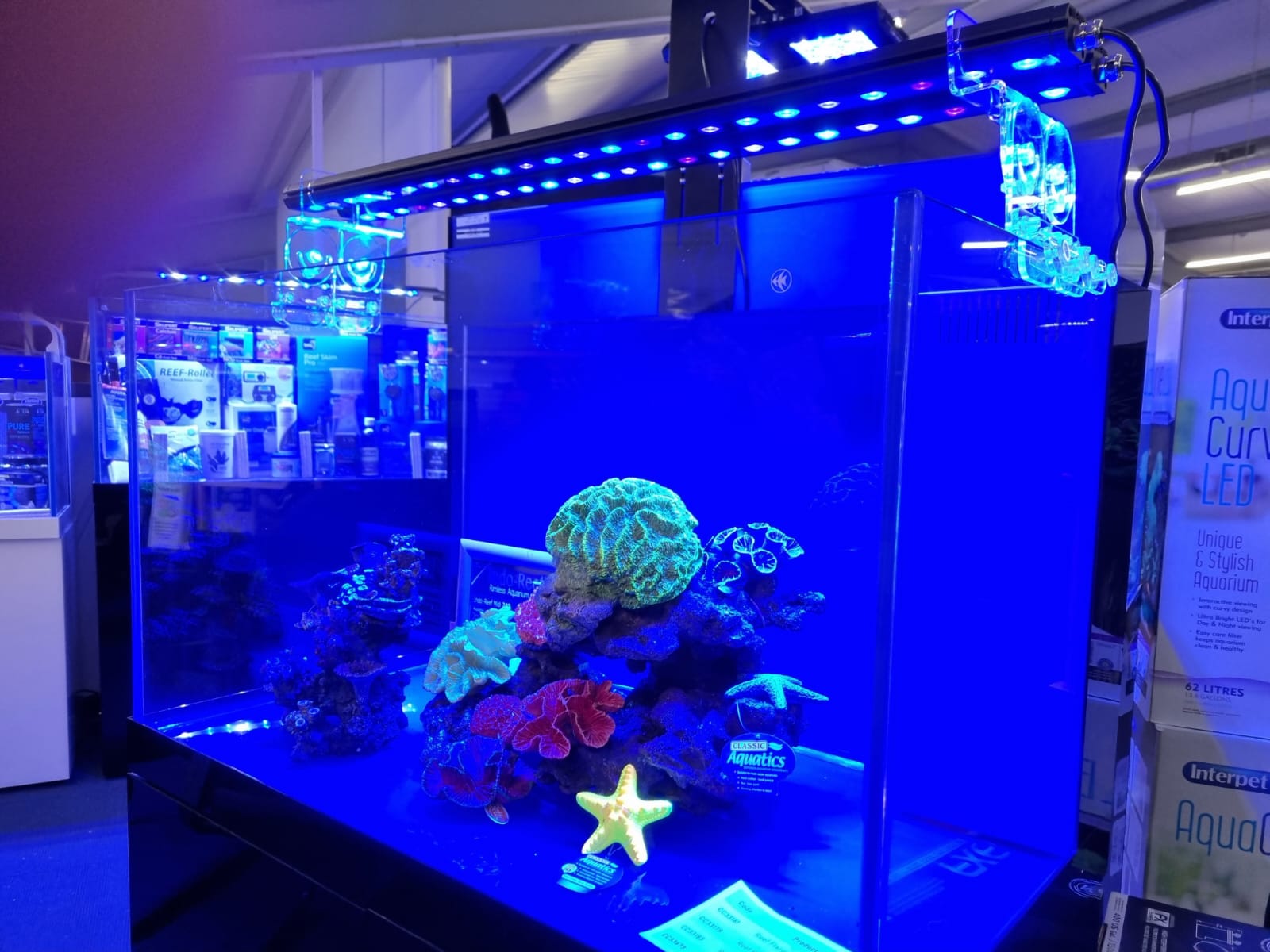 aquarium essential number 3 - lighting