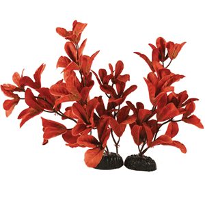 rosanervig red silk plant 40cm