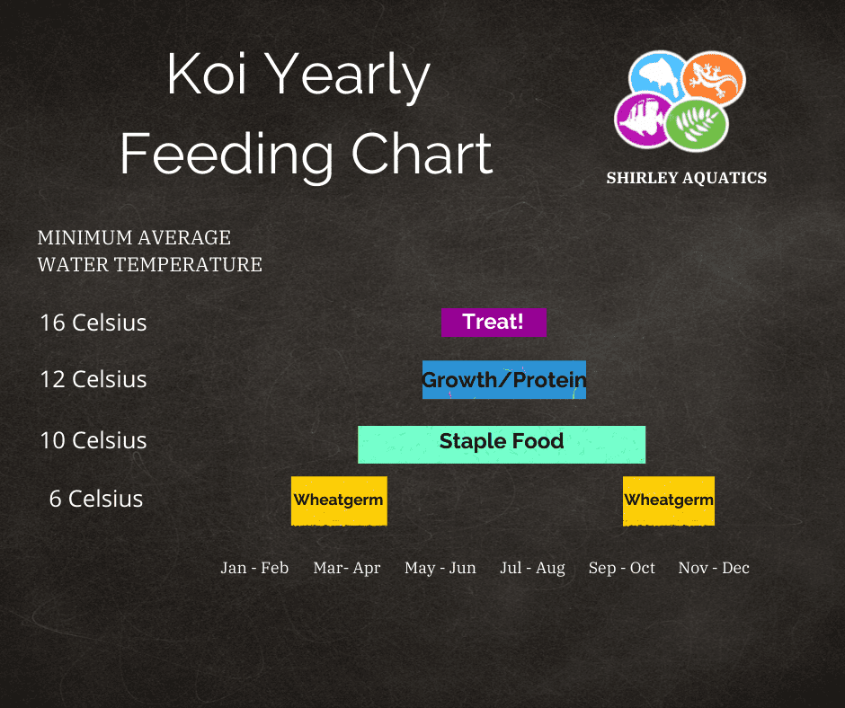 Koi feeding reference chart showing what food to feed your koi when throughout the year. 
