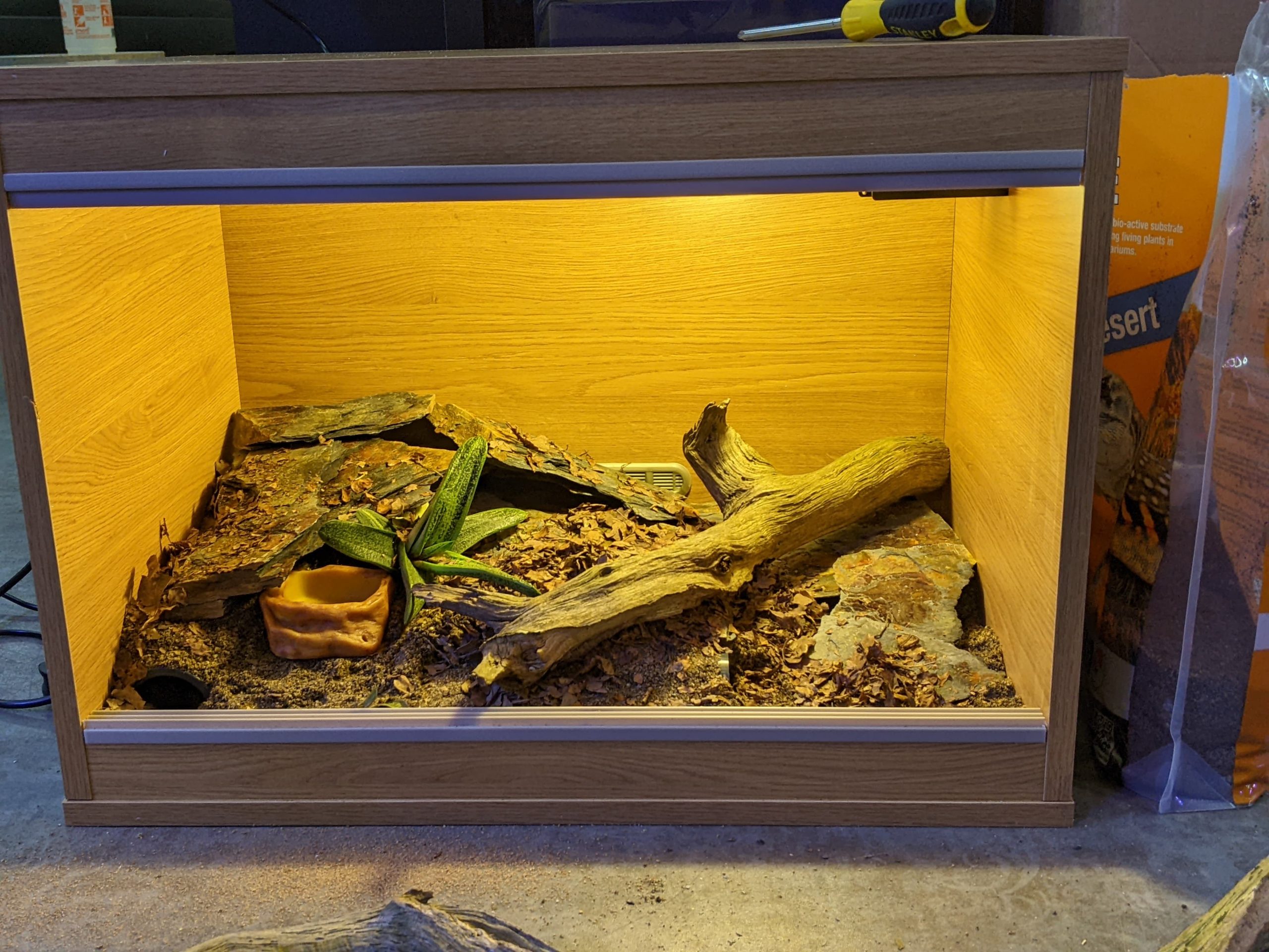 don't worry if your vivarium looks a bit wrong. play around with your setup until you're happy