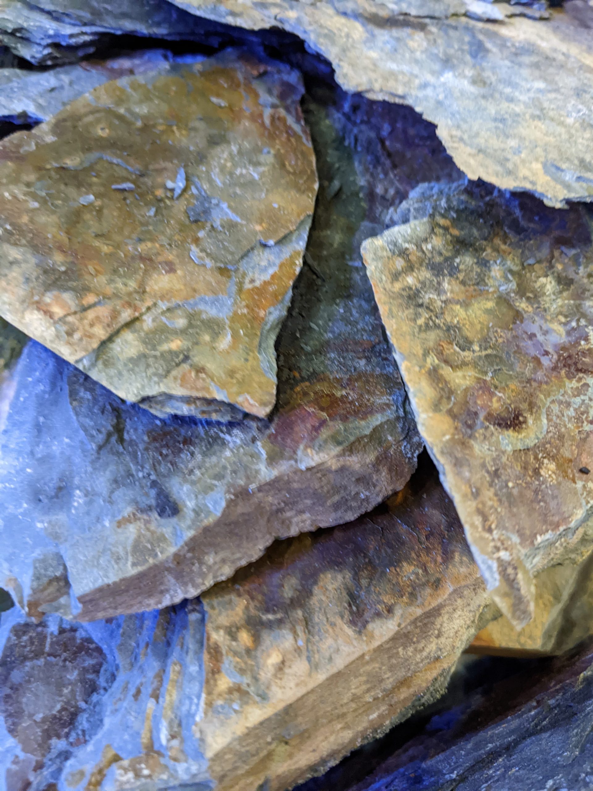 natural rocks like this slate always looks better in vivariums 