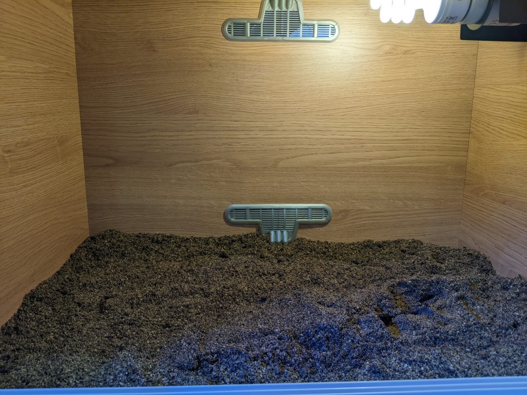 your leopard gecko vivarium substrate should look like this to begin with