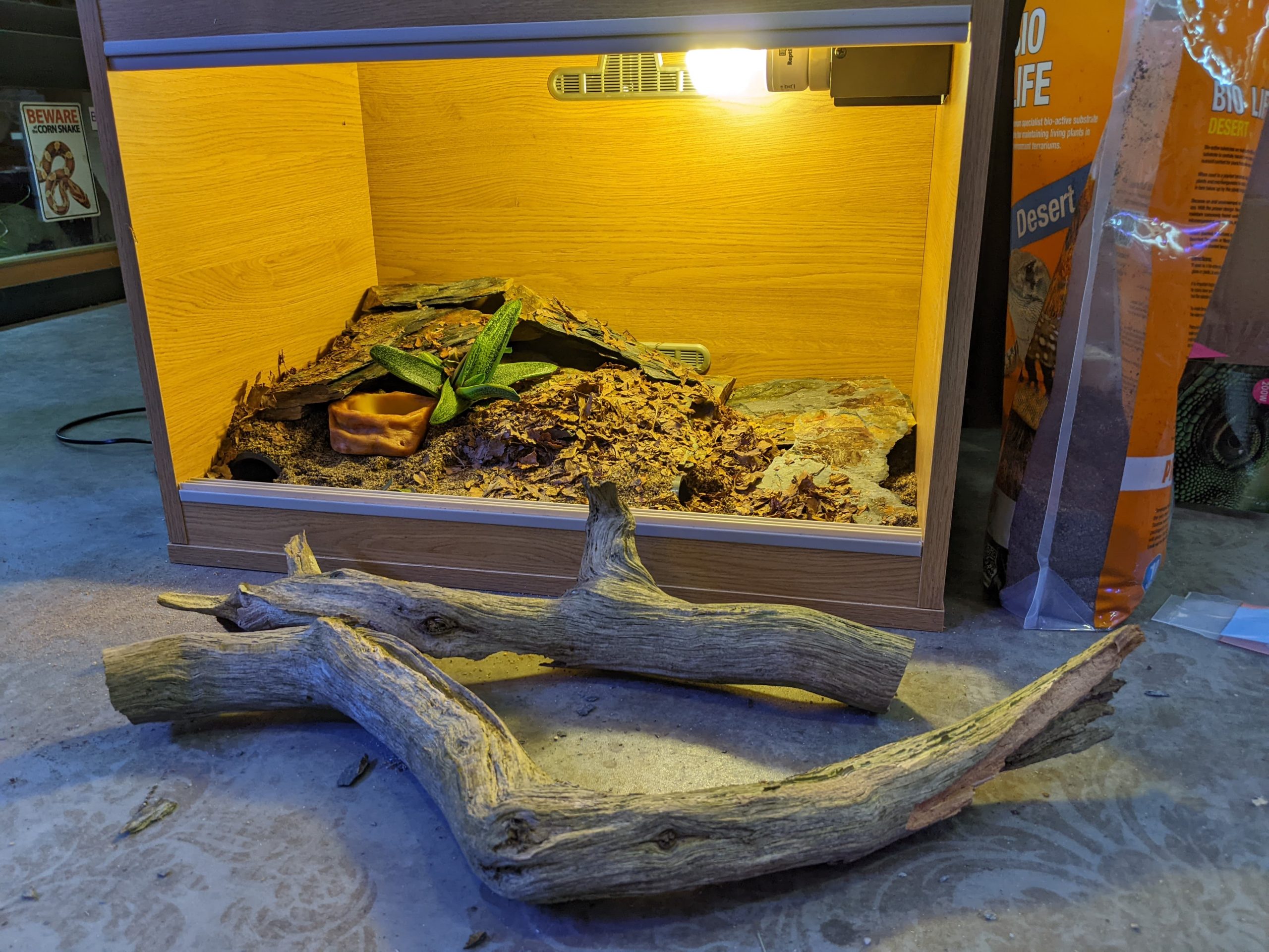 pick several bits of wood to work with and then pick your favourite once you've tried a few out in the vivarium