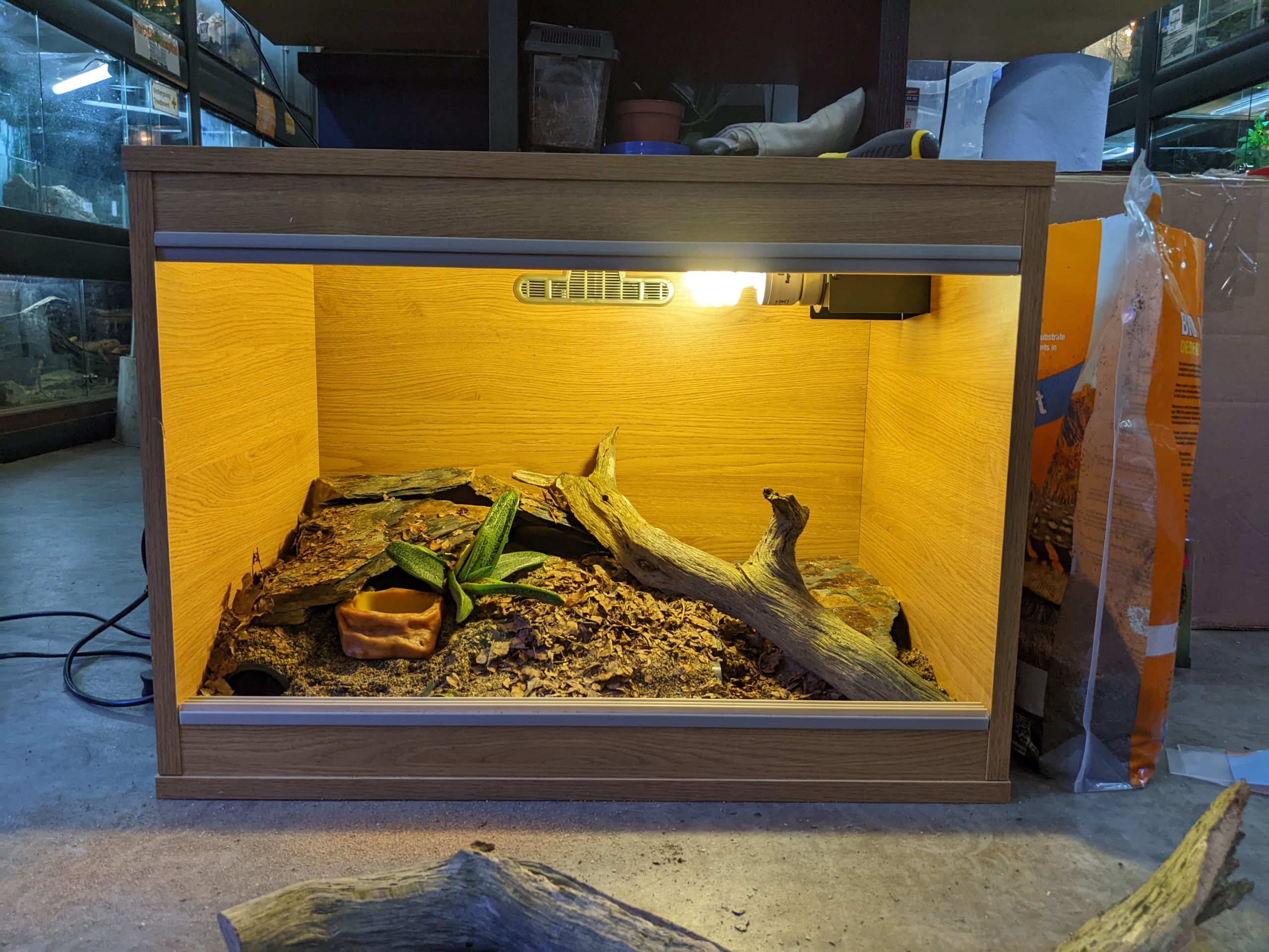 a leopard gecko vivarium shouldn't be symmetrical but a balance across the setup is attractive