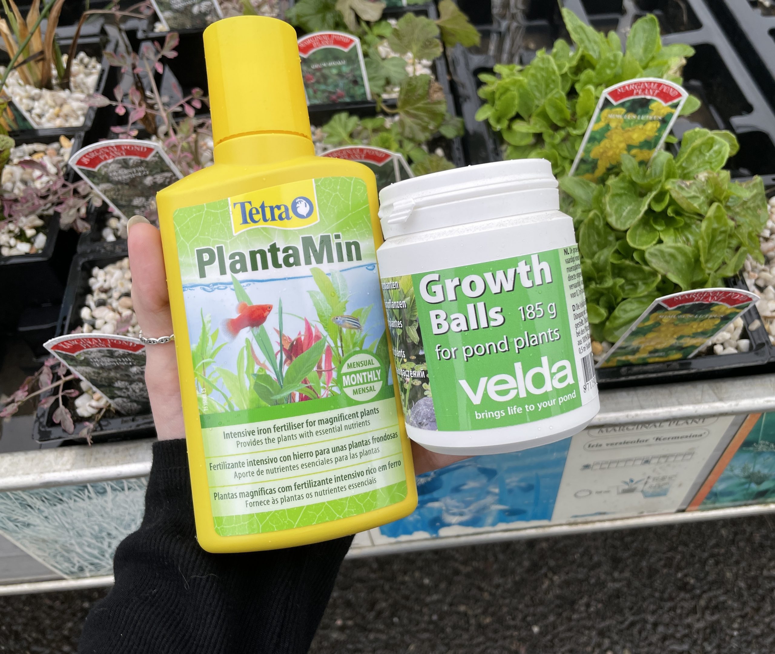 plantamin and velda growth balls for your pond project plants