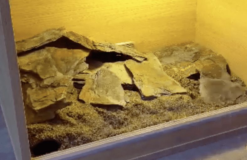finish the whole look off by adding more rocks - make sure they're stable, though!