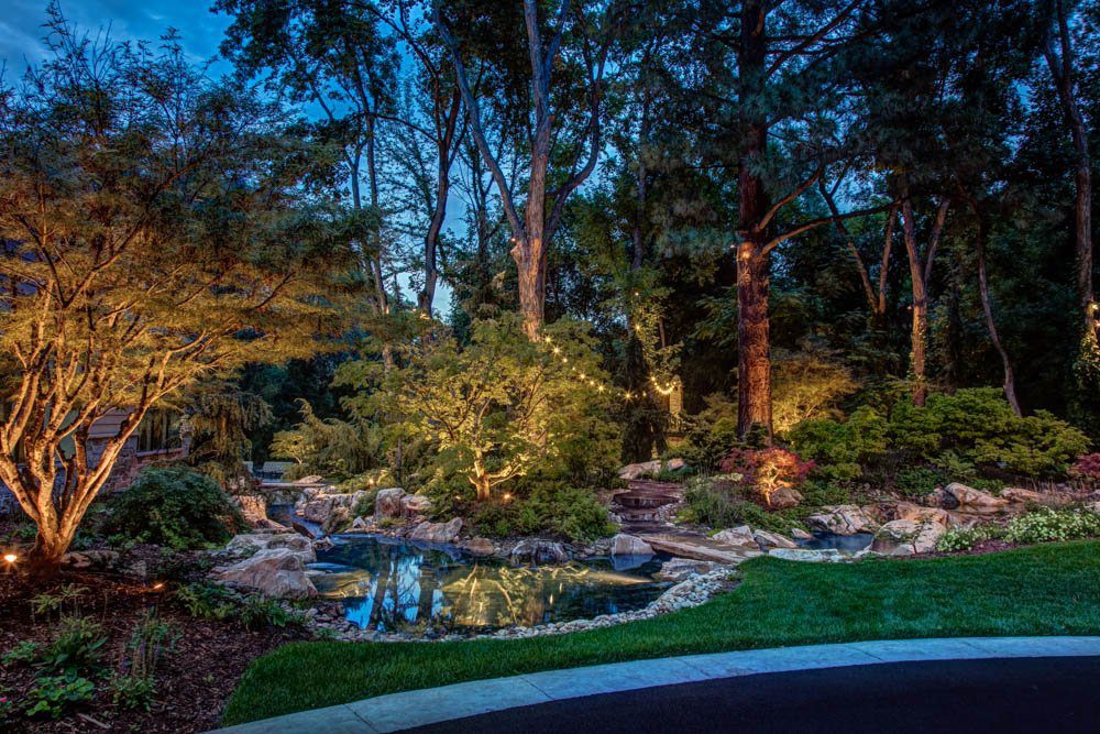 Downlighting is a popular method of pond lighting. Using existing structures or architectural plants helps to keep the effect looking as natural as possible.