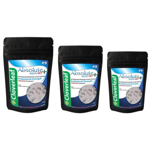 Chilodonella Treatment