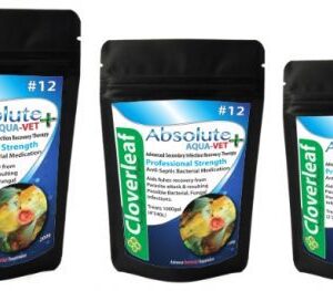 Anti Septic Treatment