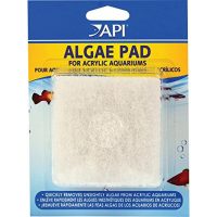 Algae Pad Acrylic