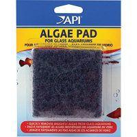 Algae Pad Glass