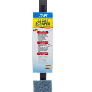 Algae Scraper Glass