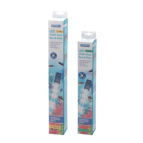interpet start plus blue and white led lighting