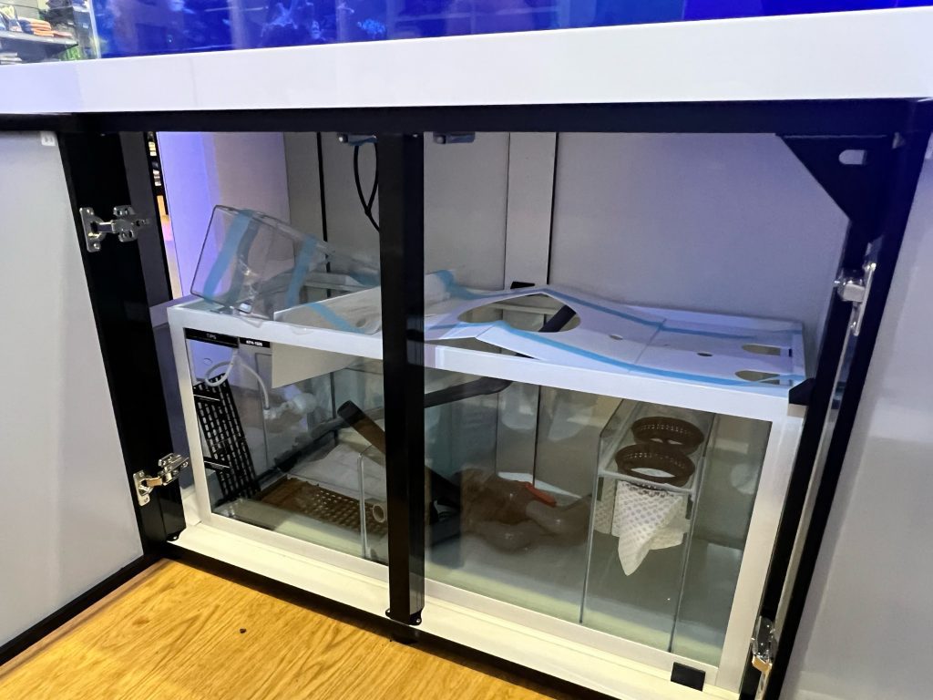 an Indo Reef aquarium sump.