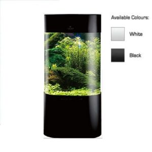 avon oval acrylic aquarium in black