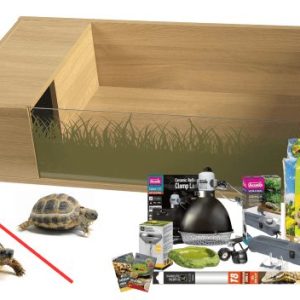Complete Tortoise Table Setup