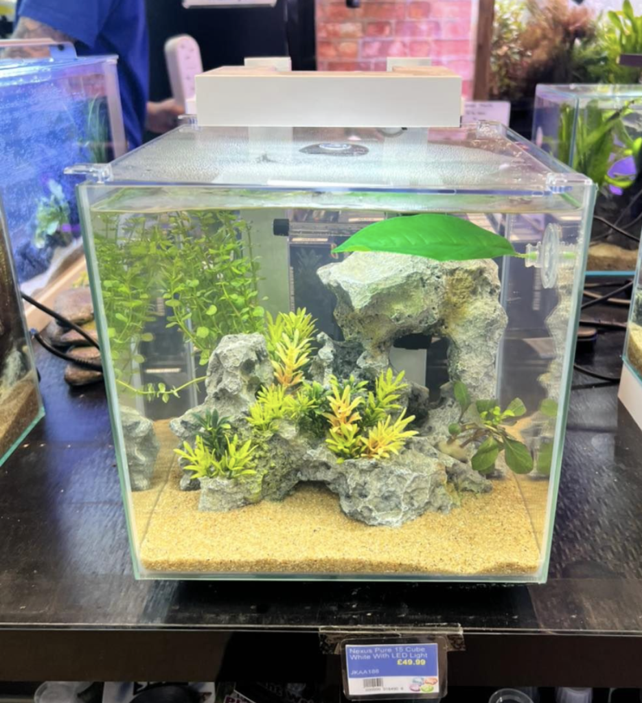 ready made aquarium kits are a great way to begin fishkeeping
