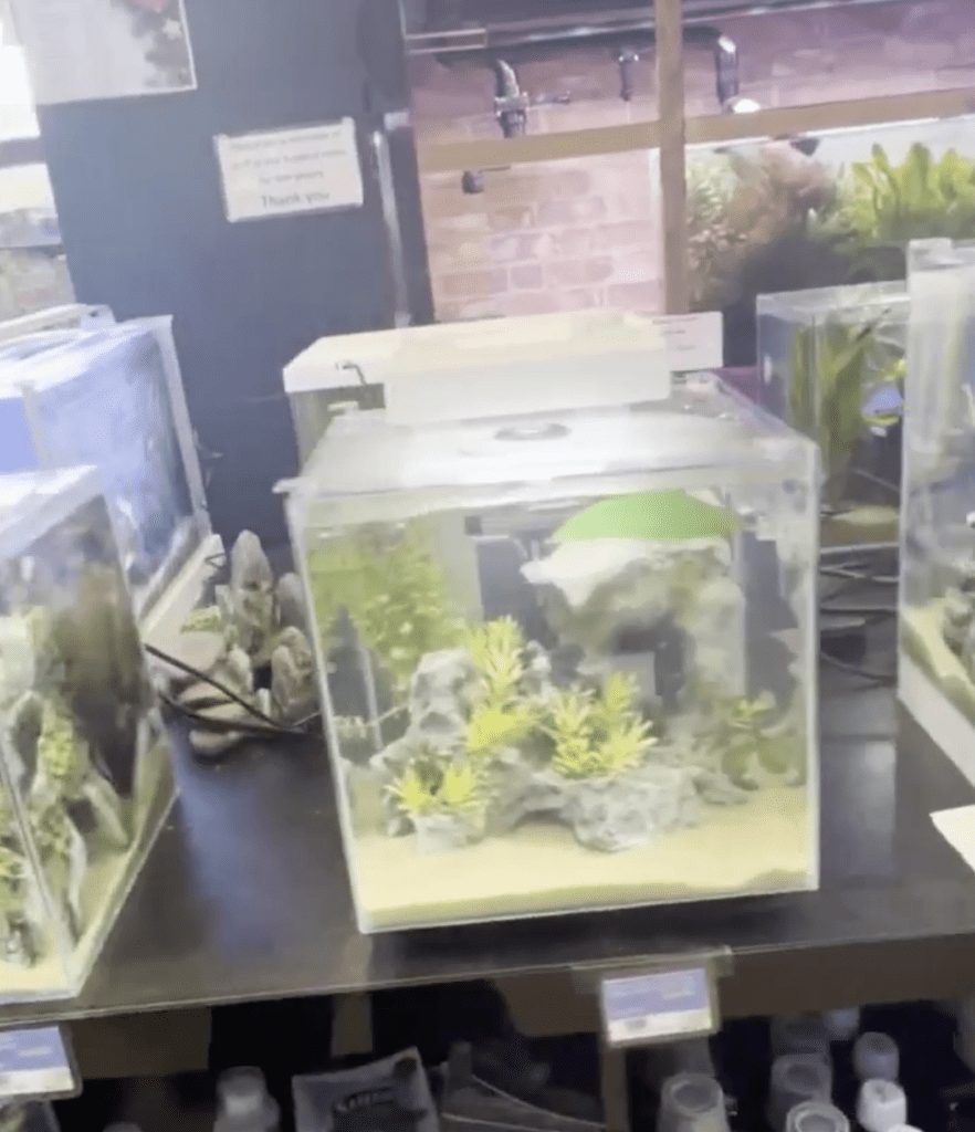 our ready made aquarium kits video from instagram