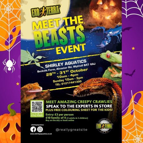 Reptile Handling Event October
