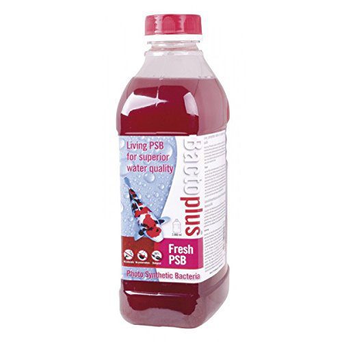 Bactoplus Fresh PSB 2 Litres