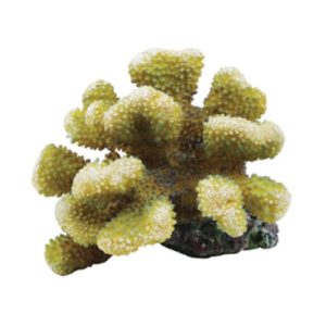 pocoporra coral ornament