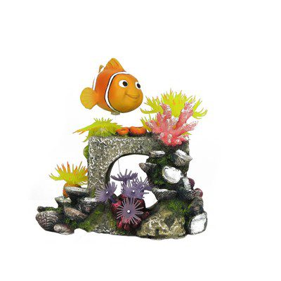 coral cube with clownfish ornament