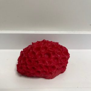 mini red sun coral ornament