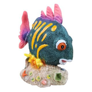 Blue Fish On Coral