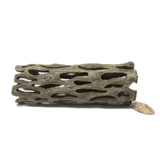 Betta Cholla Wood Ornament