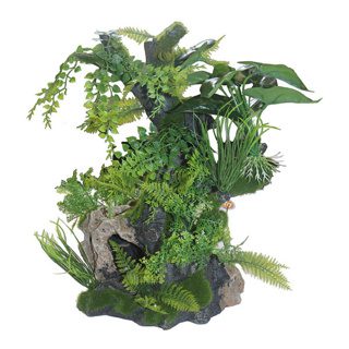 Medium Root & Plants