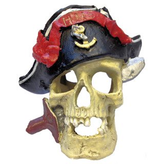 Pirate Skull