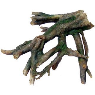 XXL Tree Root Part 2