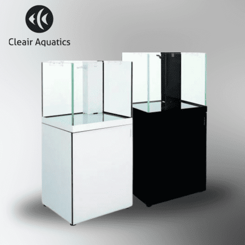 Reefscape Rimless Glass Aquarium