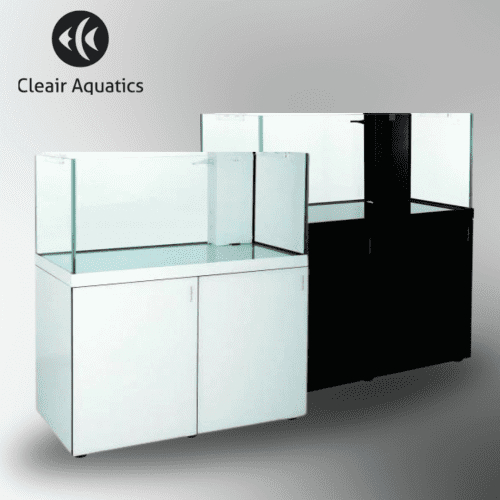 Reefscape Rimless Glass Aquarium