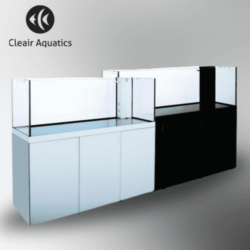Reefscape Rimless Glass Aquarium