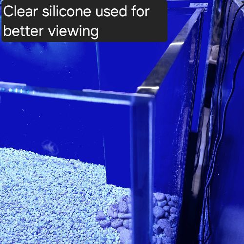 Cleair Reefscape Rimless Marine 3