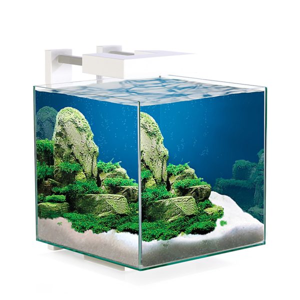 ciano nexus pure 15 litre cube aquarium white