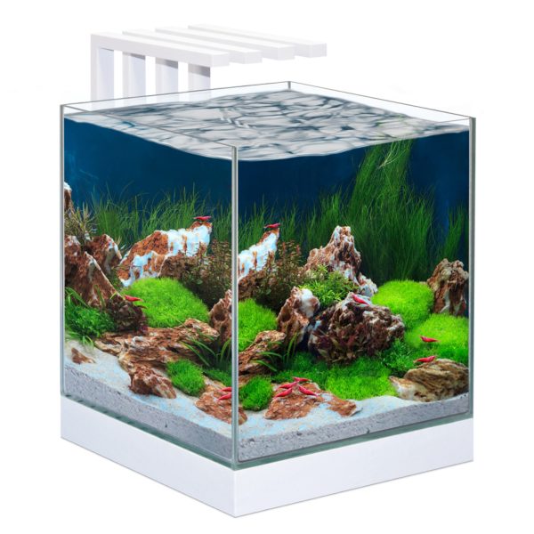ciano nexus pure 25 litre cube aquarium white