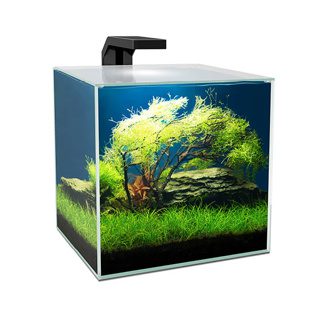 ciano cube aquarium 15 litre black